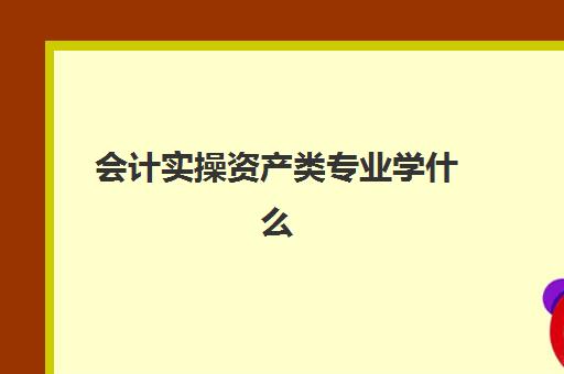 会计实操资产类专业学什么(会计实务培训有用吗)