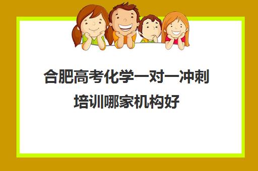 合肥高考化学一对一冲刺培训哪家机构好(合肥表演一对一辅导)