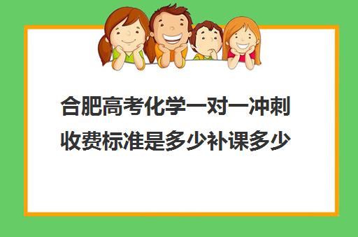 合肥高考化学一对一冲刺收费标准是多少补课多少钱一小时(高三物理一对一补课多少钱)