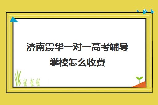 济南震华一对一高考辅导学校怎么收费（高三辅导一对一多少钱）