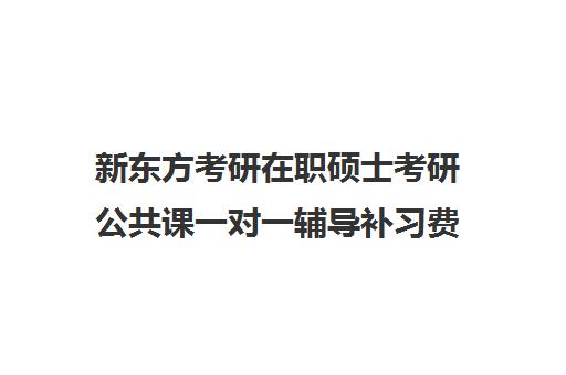 新东方考研在职硕士考研公共课一对一辅导补习费用一般多少钱