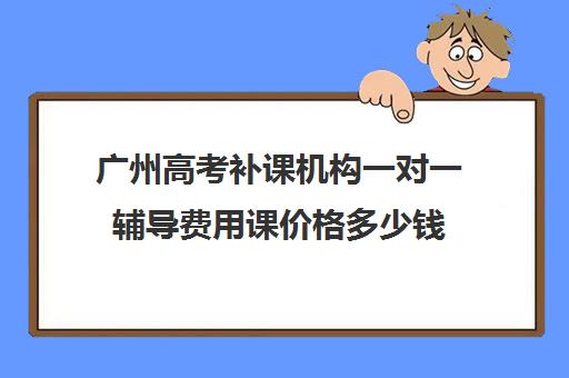 广州高考补课机构一对一辅导费用课价格多少钱(一对一补课多少钱)