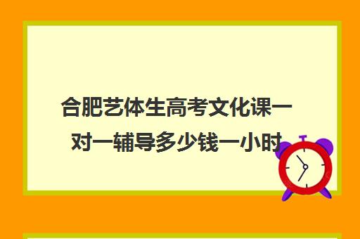 合肥艺体生高考文化课一对一辅导多少钱一小时(合肥简单学艺考文化课冲刺班电话)