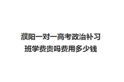 濮阳一对一高考政治补习班学费贵吗费用多少钱