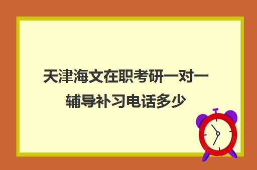 天津海文在职考研一对一辅导补习电话多少