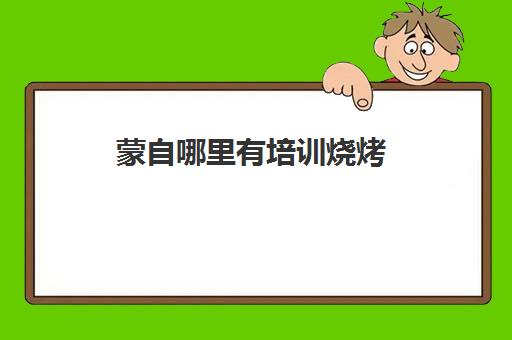 蒙自哪里有培训烧烤(烧烤培训班一般要多少钱)