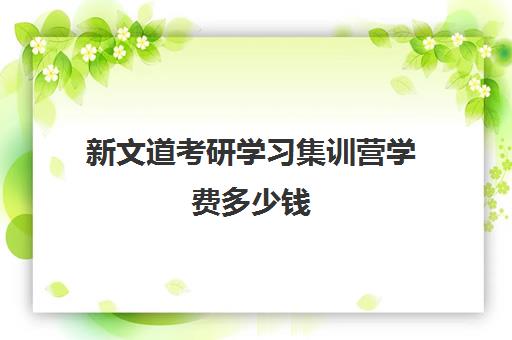 新文道考研学习集训营学费多少钱