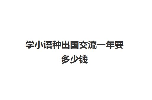 学小语种出国交流一年要多少钱(小语种出国留学有什么好处)