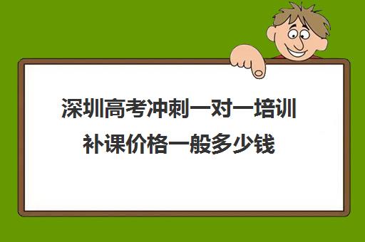 深圳高考冲刺一对一培训补课价格一般多少钱(高三冲刺班收费标准)