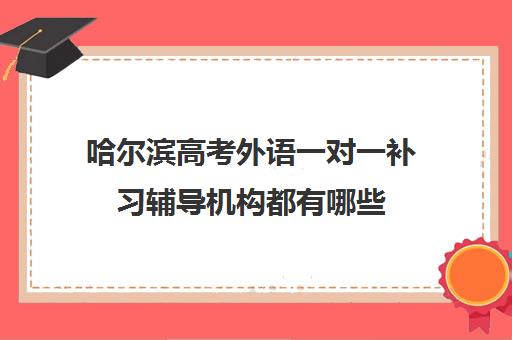 哈尔滨高考外语一对一补习辅导机构都有哪些