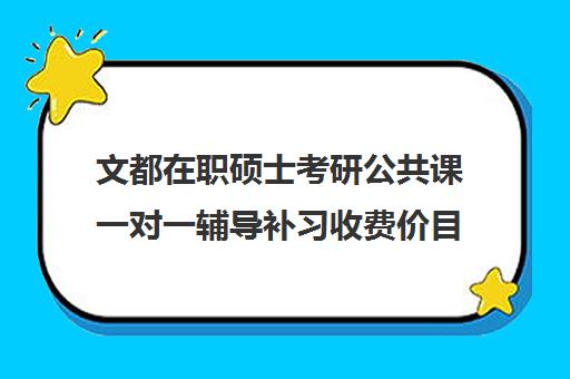 文都在职硕士考研公共课一对一辅导补习收费价目表