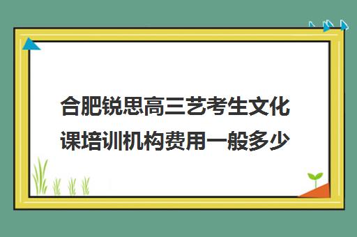 合肥锐思高三艺考生文化课培训机构费用一般多少钱(安徽合肥艺考培训第一品牌)