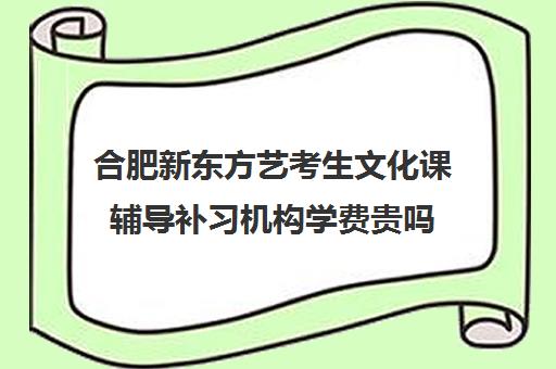 合肥新东方艺考生文化课辅导补习机构学费贵吗