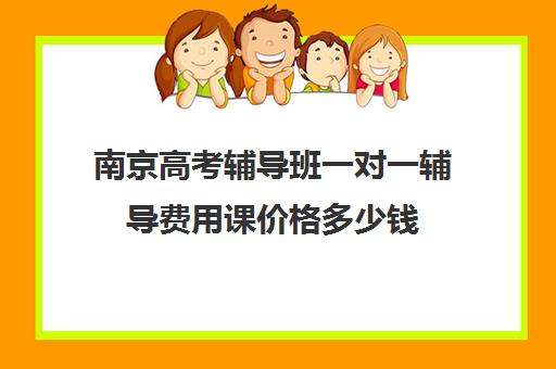 南京高考辅导班一对一辅导费用课价格多少钱(高考前一对一补课有效果吗)