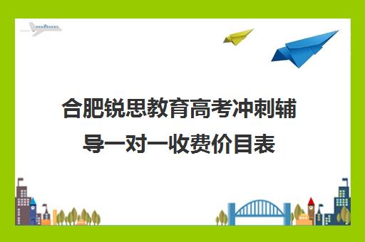 合肥锐思教育高考冲刺辅导一对一收费价目表（高三一对一培训机构）