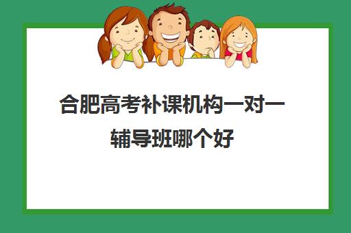 合肥高考补课机构一对一辅导班哪个好(合肥辅导班收费价目表)