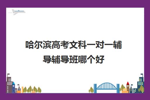 哈尔滨高考文科一对一辅导辅导班哪个好(哈尔滨高考集训班哪家好)