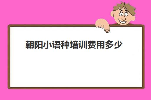 朝阳小语种培训费用多少(学小语种费用高吗)