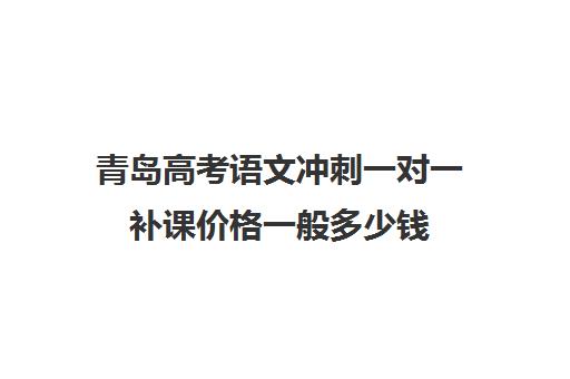 青岛高考语文冲刺一对一补课价格一般多少钱(高三补课辅导班)