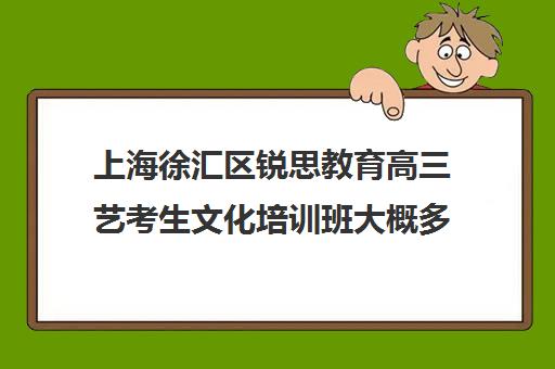 上海徐汇区锐思教育高三艺考生文化培训班大概多少钱(播音艺考培训班)