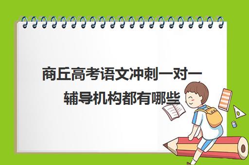 商丘高考语文冲刺一对一辅导机构都有哪些(高中一对一辅导机构排名)