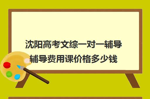 沈阳高考文综一对一辅导辅导费用课价格多少钱(沈阳高中一对一补课价格)