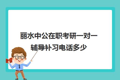 丽水中公在职考研一对一辅导补习电话多少