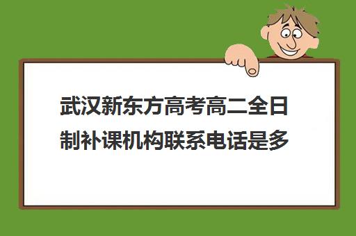 武汉新东方高考高二全日制补课机构联系电话是多少(武汉高三全日制培训机构有哪些)