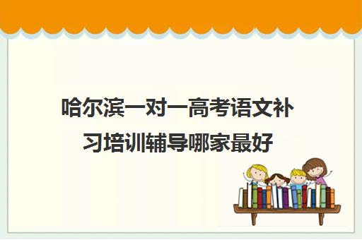 哈尔滨一对一高考语文补习培训辅导哪家最好