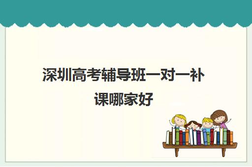 深圳高考辅导班一对一补课哪家好(深圳补课机构有哪些)