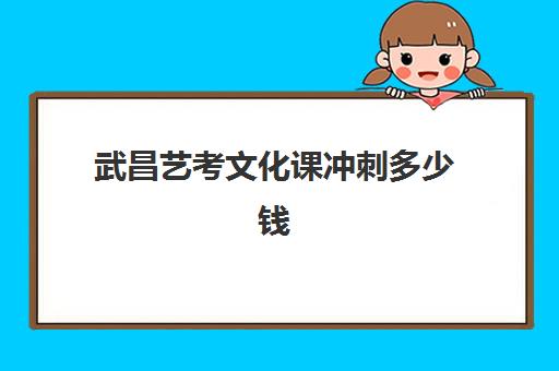 武昌艺考文化课冲刺多少钱(武汉高三美术集训收费多少)