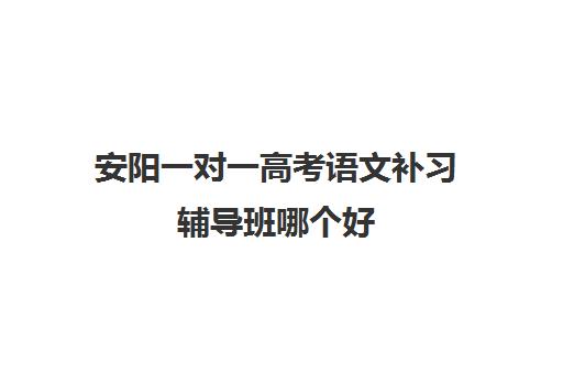 安阳一对一高考语文补习辅导班哪个好