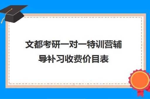 文都考研一对一特训营辅导补习收费价目表