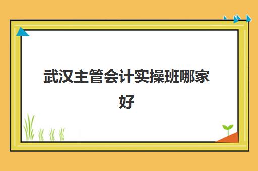 武汉主管会计实操班哪家好(会计自学还是报班)