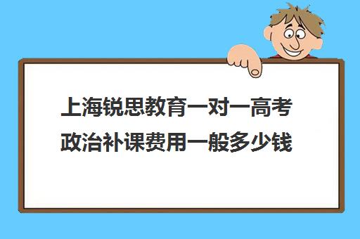 上海锐思教育一对一高考政治补课费用一般多少钱（锐思教育官网）