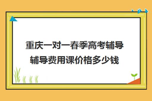 重庆一对一春季高考辅导辅导费用课价格多少钱(重庆一对一补课价格)