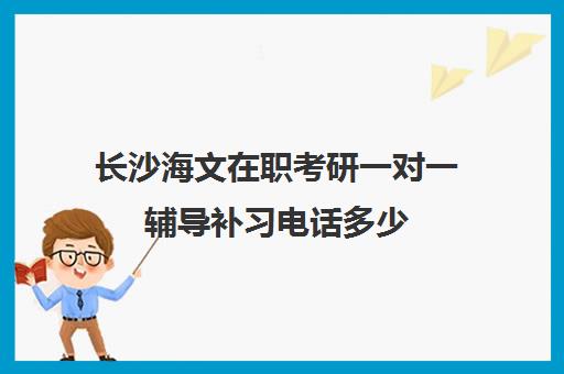 长沙海文在职考研一对一辅导补习电话多少