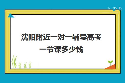 沈阳附近一对一辅导高考一节课多少钱(高三补课一对一费用)