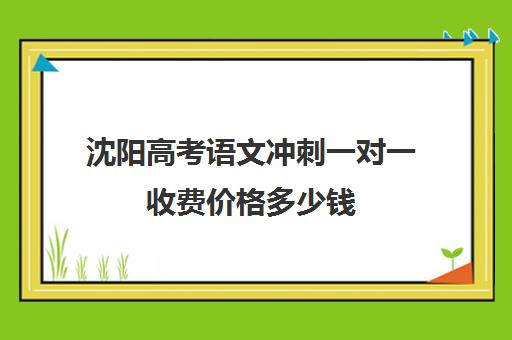 沈阳高考语文冲刺一对一收费价格多少钱(沈阳高中一对一补课价格)