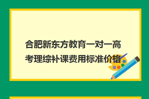 合肥新东方教育一对一高考理综补课费用标准价格表（高中补课一对一收费标准）