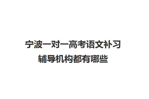 宁波一对一高考语文补习辅导机构都有哪些