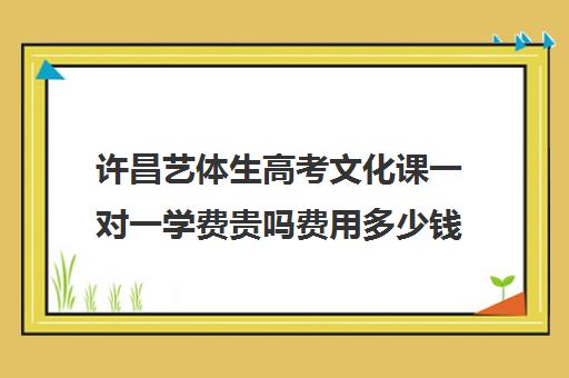 许昌艺体生高考文化课一对一学费贵吗费用多少钱(高三艺考生文化课集训多少钱)