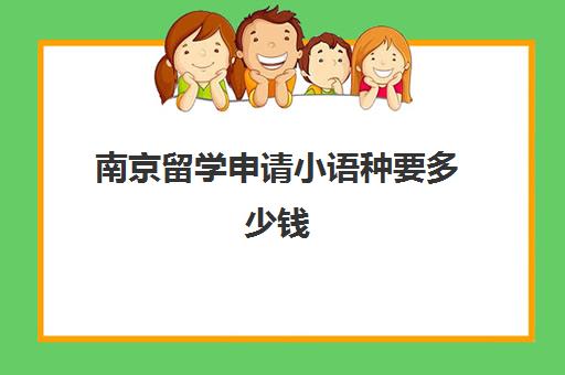 南京留学申请小语种要多少钱(南京艺术留学机构十大排名)