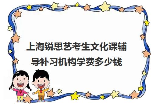 上海锐思艺考生文化课辅导补习机构学费多少钱