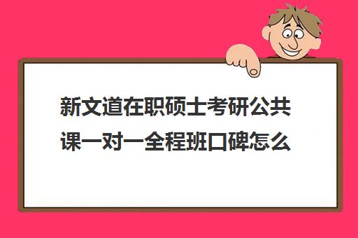 新文道在职硕士考研公共课一对一全程班口碑怎么样？（在职研究生辅导机构哪个比较好）