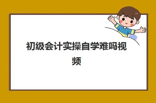 初级会计实操自学难吗视频(会计初级如何自学)