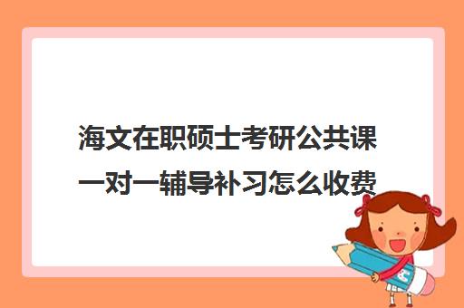 海文在职硕士考研公共课一对一辅导补习怎么收费