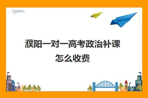 濮阳一对一高考政治补课怎么收费(高中一对一补课有用吗)