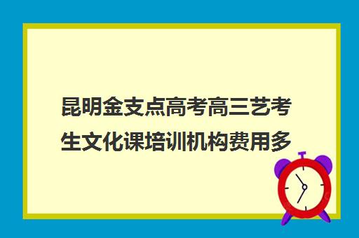 昆明金支点高考高三艺考生文化课培训机构费用多少钱(昆明艺考培训哪家最好)