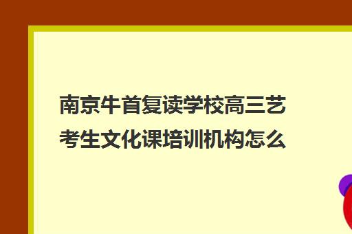 南京牛首复读学校高三艺考生文化课培训机构怎么收费(南京高考复读学校有哪些)